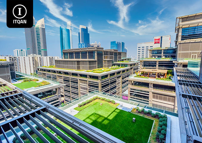 Establishing a company in the Free Zone a comprehensive guide for investors